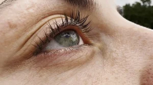 Why do our eyelids tremble?