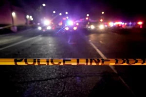 Thieves break into a Los Angeles residence