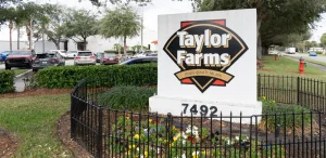 It was a false positive! FDA says they have not found the Cyclospora parasite in Taylor Farms lettuce