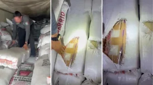 Huge drug seizure in Sonora: more than 3 tons of methamphetamines hidden in livestock feed