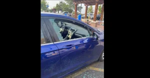 7-year-old girl breaks car window to escape extreme heat in Colorado; his grandfather was arrested