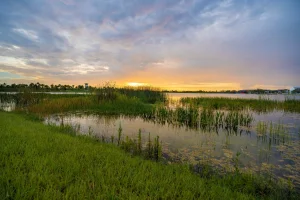 Mother dies after saving her 4-year-old son from drowning in a Florida river