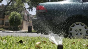 Reduce your water consumption in the summer with these tips