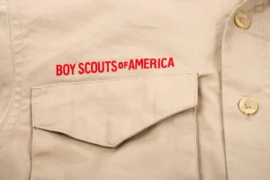 11-year-old boy dies after being hit by tree at Michigan Scout camp