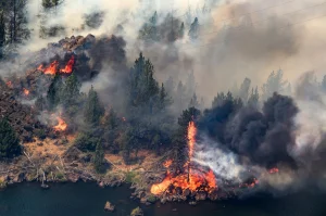 The fire did not reach your house, but the smoke did: what can insurance cover