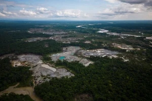 The lessons of the Amazon for California