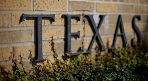 Texas teachers sue government over academic restrictions and book bans