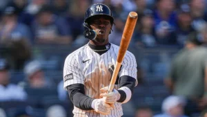 A woman sues the Yankees for 10 million: a bat flew in a game and hit her