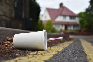 What happens in Los Angeles if you throw trash on the street: what the law says